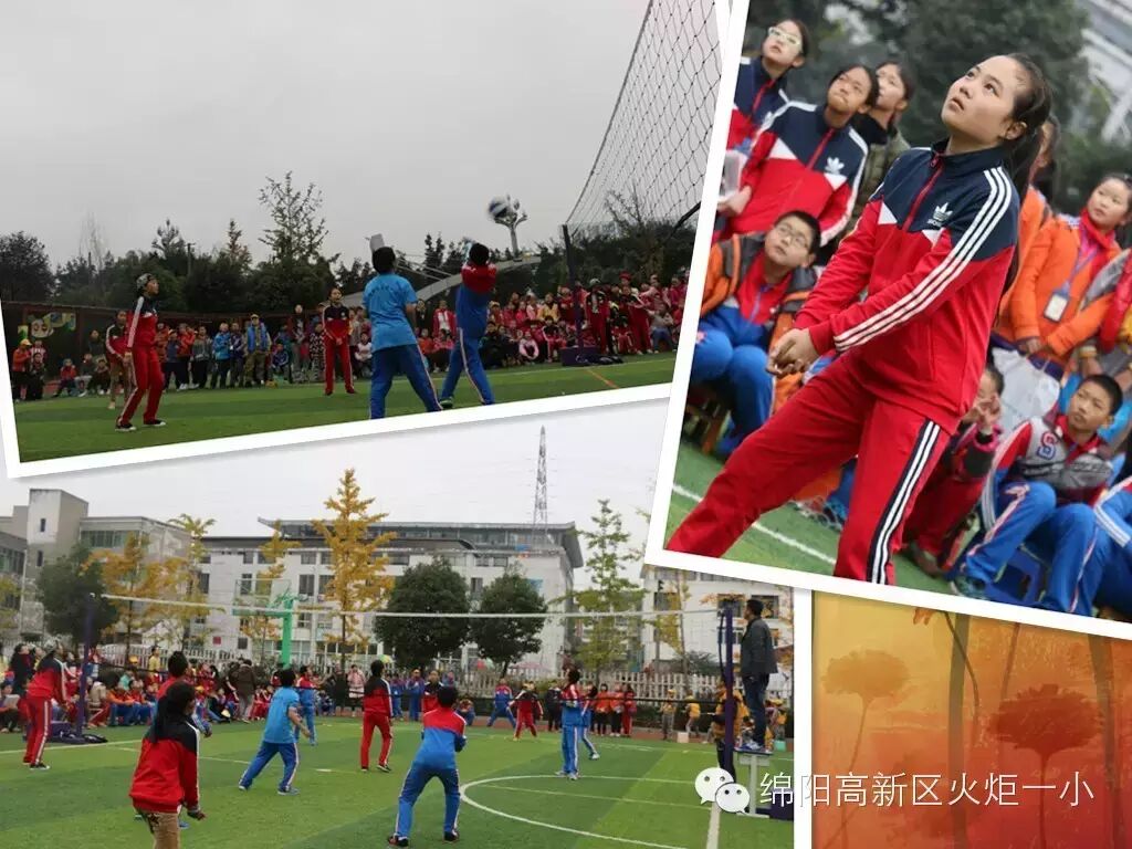 【体育节比赛日速递1】赛场上挥洒激情，运动中茁壮成长