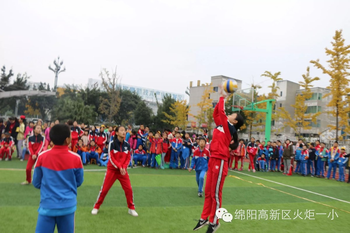 【体育节比赛日速递1】赛场上挥洒激情，运动中茁壮成长