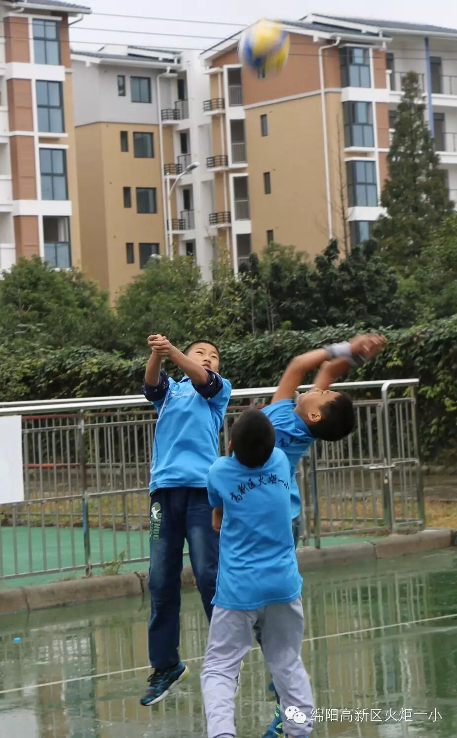 【3、排球赛场写真】我们是顽强的排球小子！