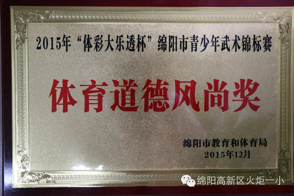 【火一动态】我校王思琴同学在市青少年武术锦标赛刀术比赛中一举夺冠