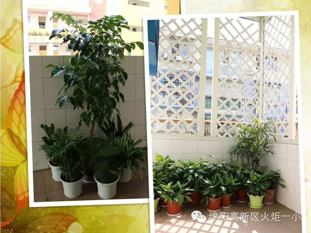 【火一动态】我找到了春天