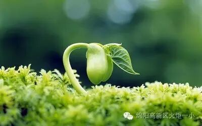 【火一动态】火炬一小2016年秋季开学典礼