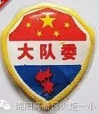 【火一动态】2016-2017学年度新一届大队委员就职仪式