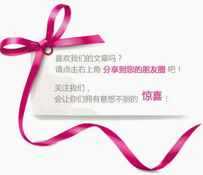 【火一动态】2016-2017学年度新一届大队委员就职仪式