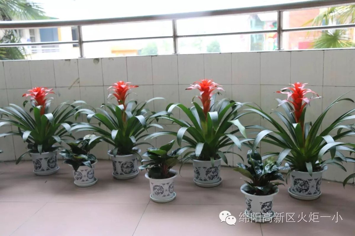 【火一动态】请你跟我来，看不一样的风景