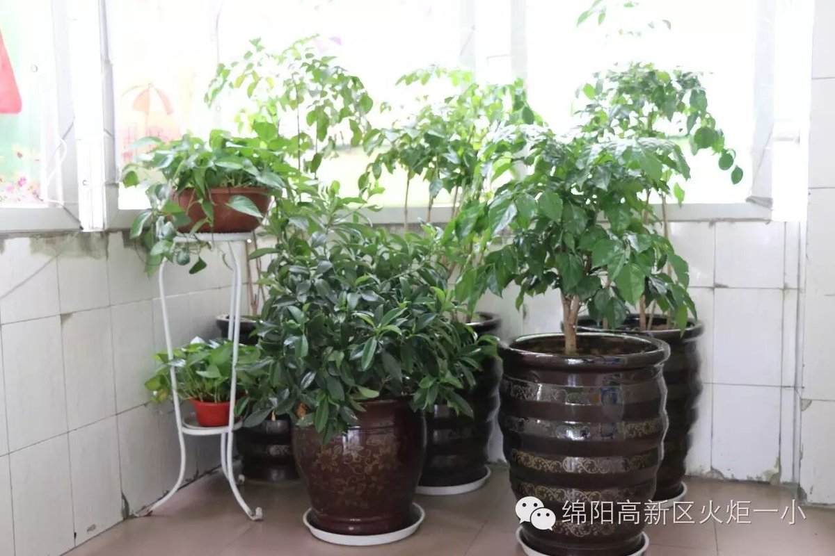 【火一动态】请你跟我来，看不一样的风景