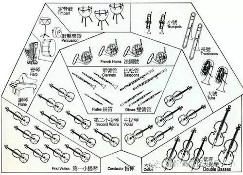 【火一动态】乐海泛舟之走进交响乐