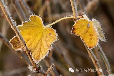 【火一动态】阅视生活 诗意青春
