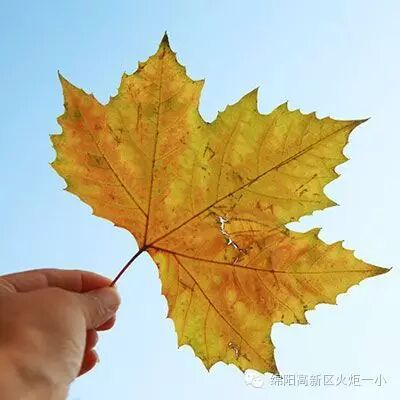 廉洁文化主题室外墙展评