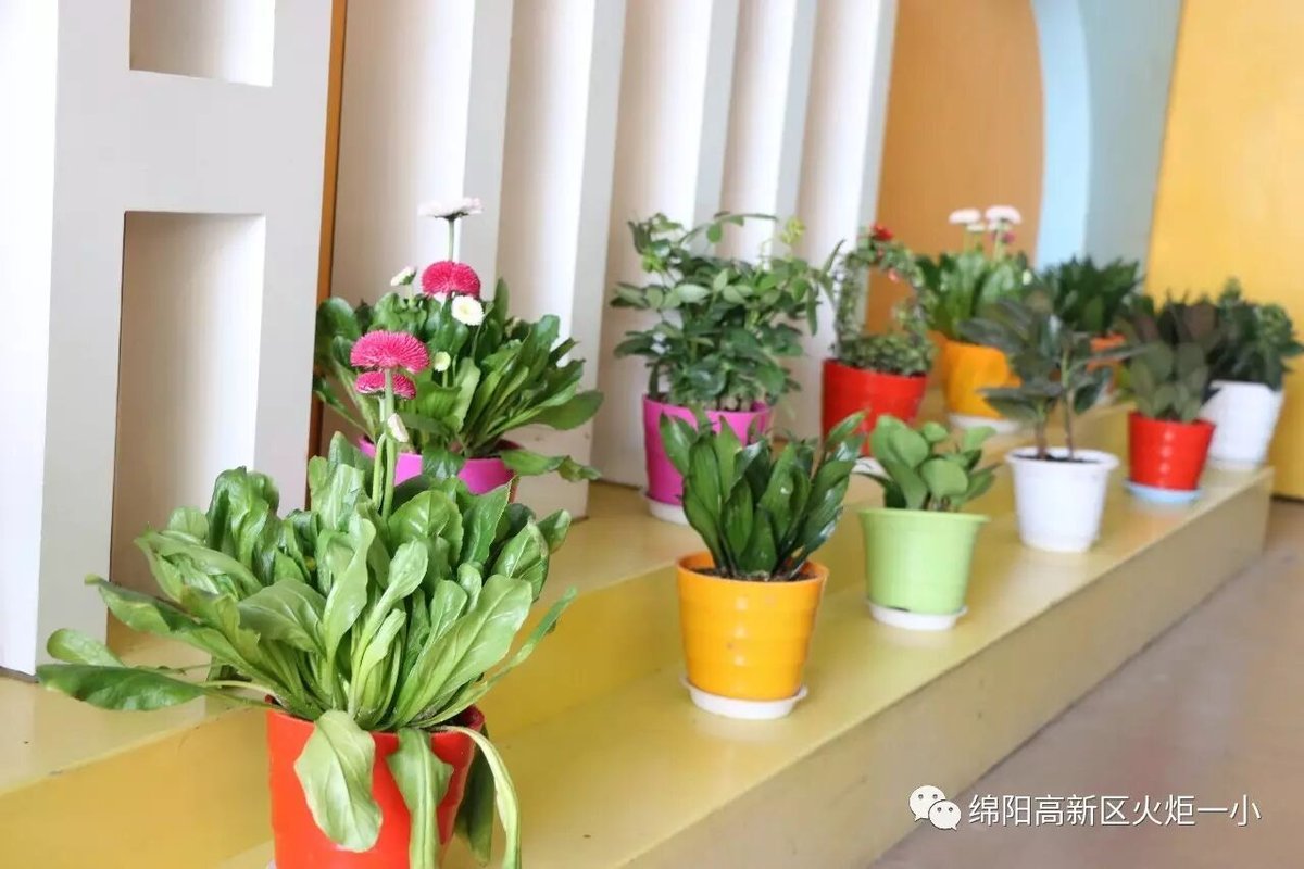 【火一动态】让眼睛遇见美 让心灵开出花
