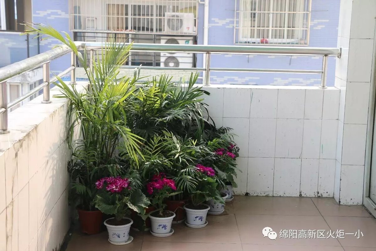 【火一动态】让眼睛遇见美 让心灵开出花