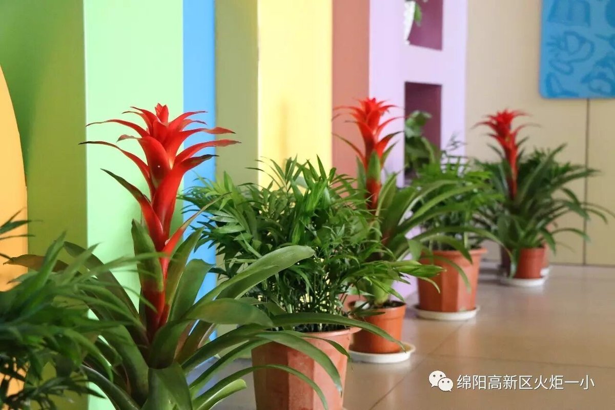 【火一动态】让眼睛遇见美 让心灵开出花