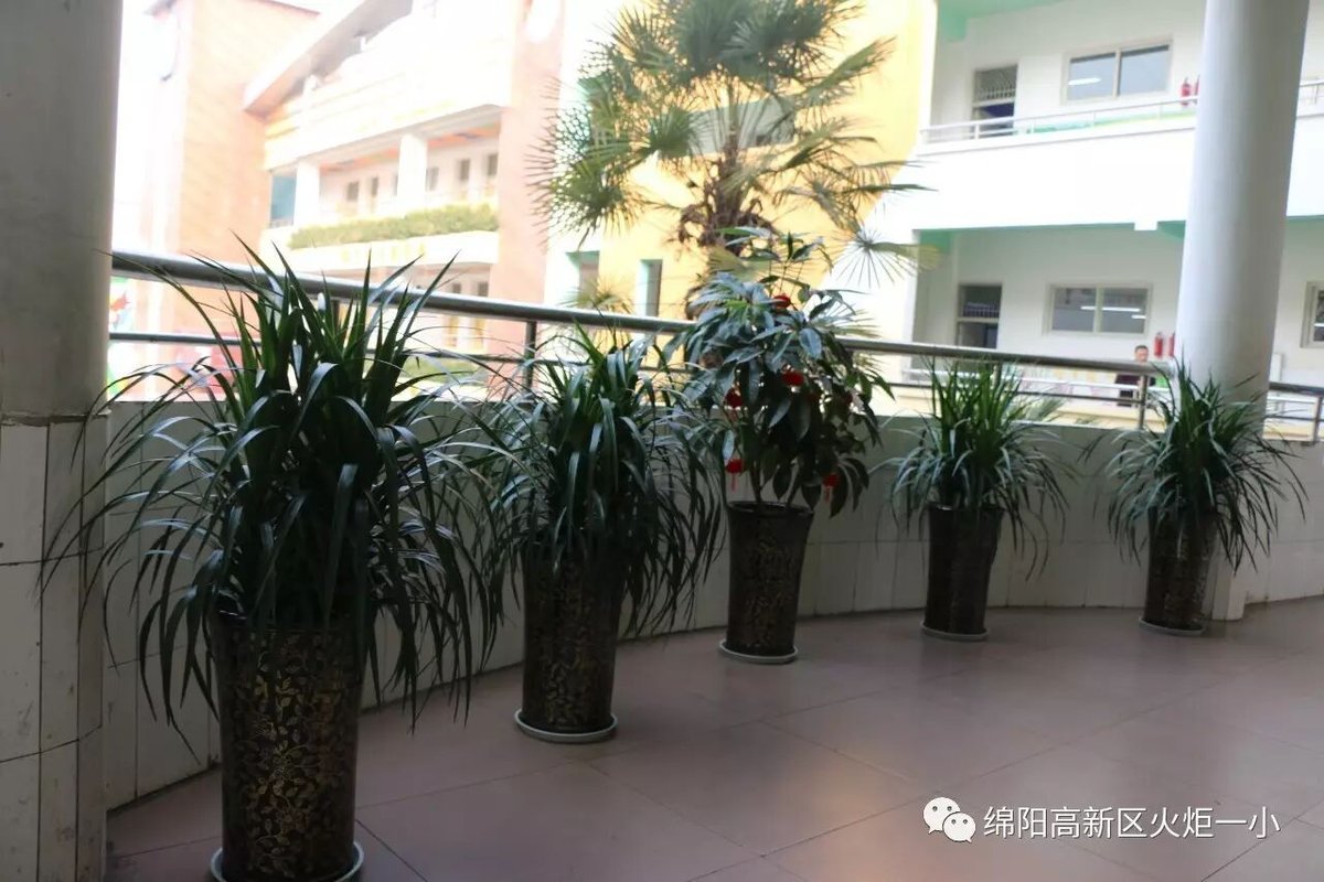 【火一动态】让眼睛遇见美 让心灵开出花
