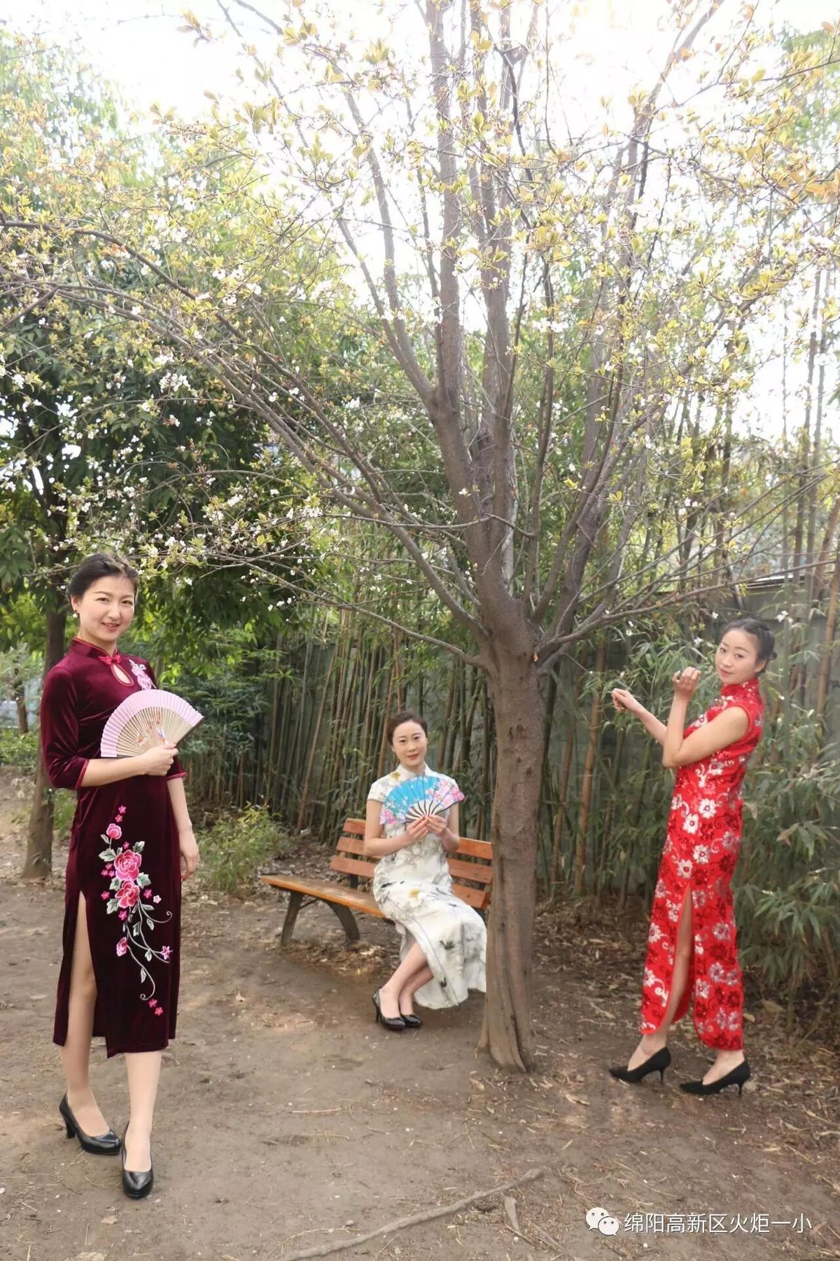 【班主任主题印象辑1】留给生活一朵微笑
