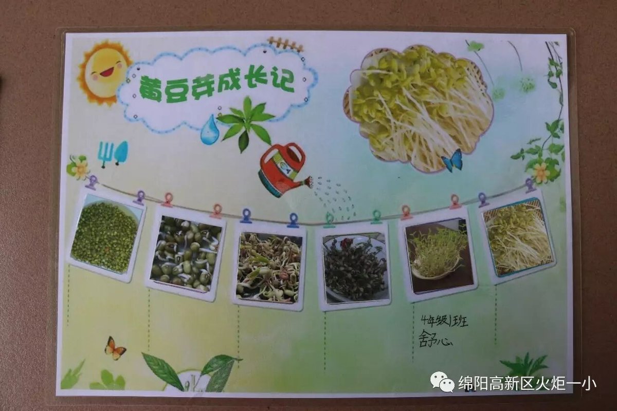 【火一动态】不一样的暑假---2017年秋暑假实践作业展