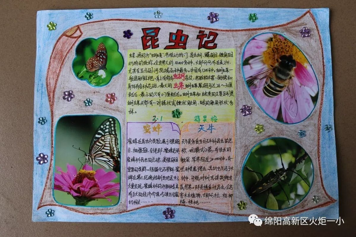 【火一动态】不一样的暑假---2017年秋暑假实践作业展