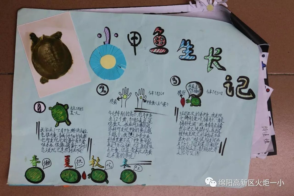 【火一动态】不一样的暑假---2017年秋暑假实践作业展