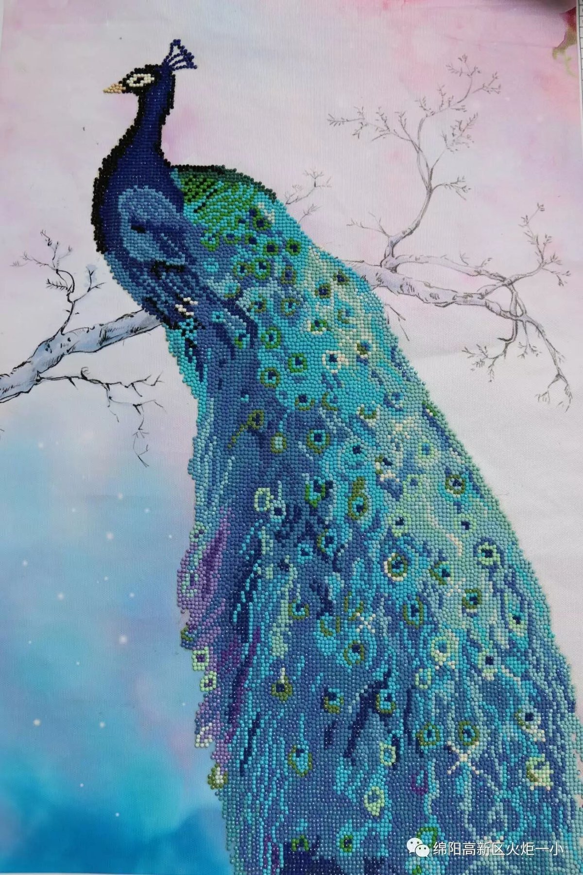 【火一动态】不一样的暑假---2017年秋暑假实践作业展