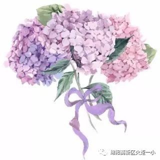 【火一ZUI校园系列3】ZUI美团队