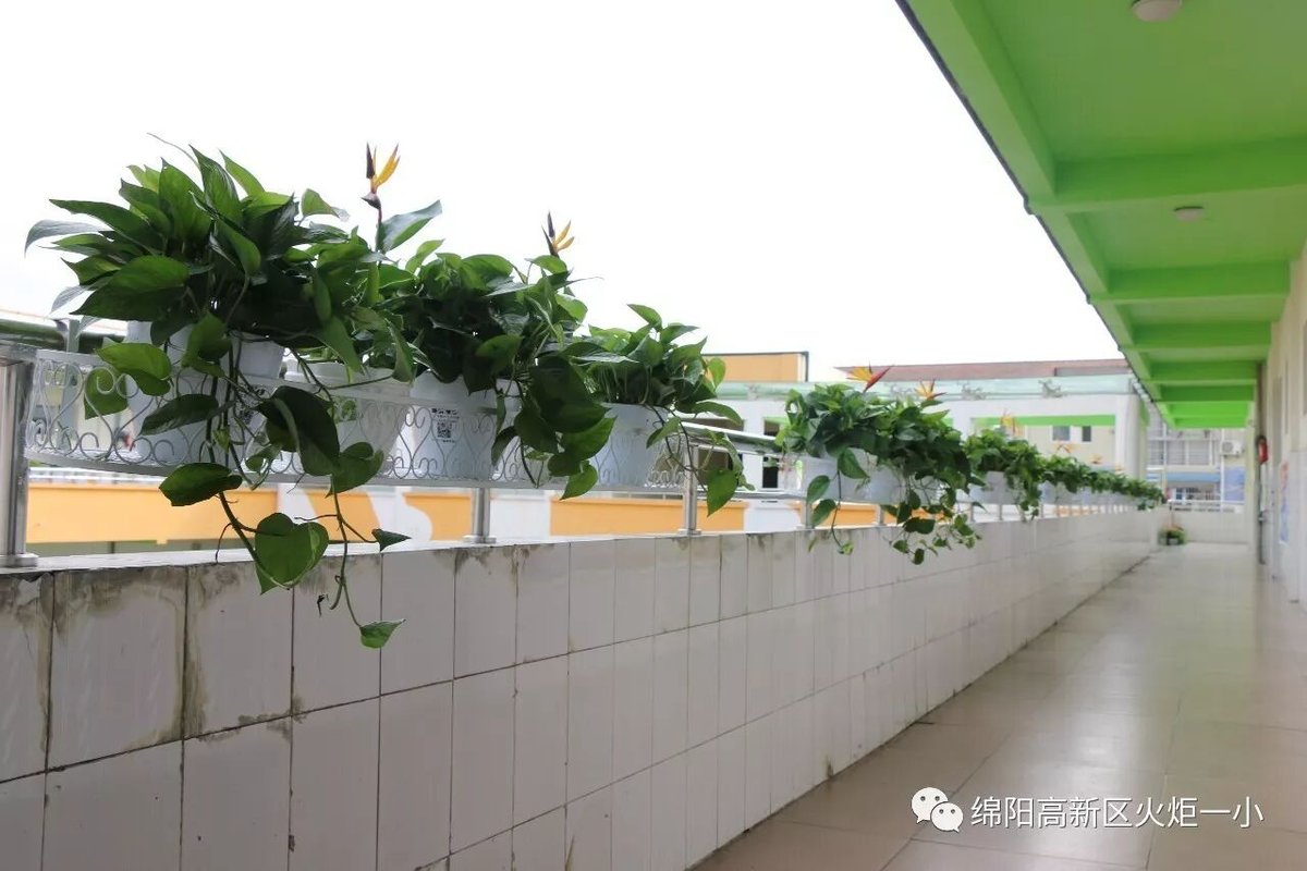 【火一动态】2017年秋班级文化建设展评