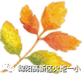 【火一动态】教育行走厦门之行教师交流分享汇报<二>