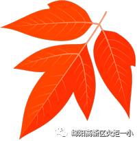 2017秋少先队大队干部竞选