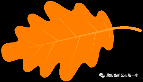 2017秋少先队大队干部竞选
