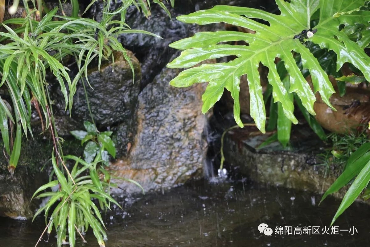 【火一ZUI校园】ZUI美校园