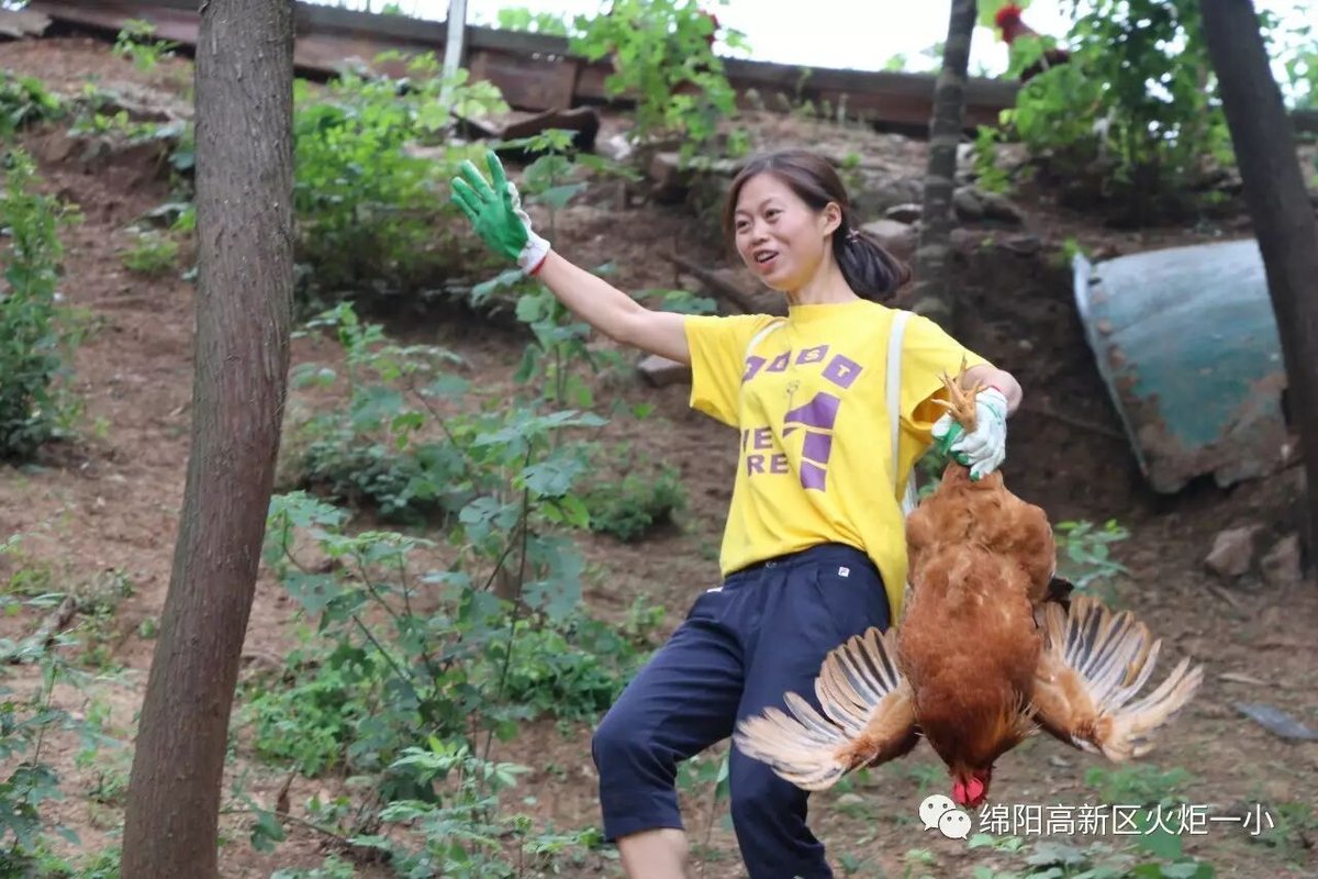 【火一动态】火炬一小2017年教师节户外活动