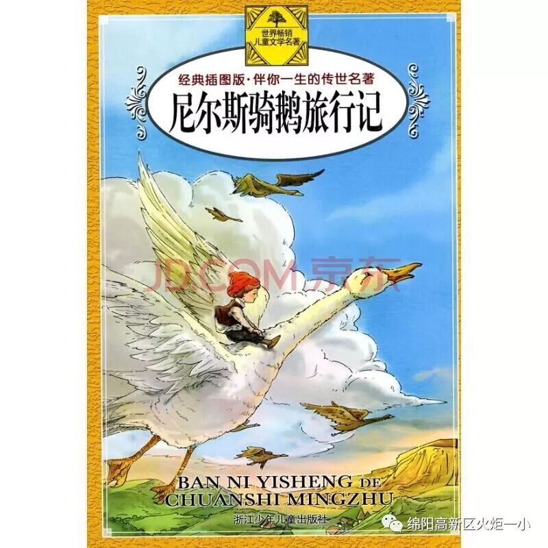 【好书推荐】《尼尔斯骑鹅行旅行记》——推荐教师:朱瑞
