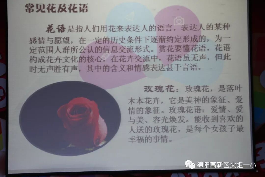 【火一女神节】三月  最美“女人•花”