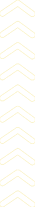 【火一动态】蒲晓茹校长在绵阳电视台《教育新视界》栏目精彩发声