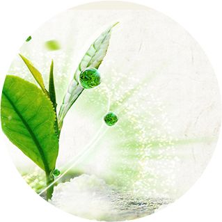 【火一动态】及月社2018年“春天•环保”手绘活动