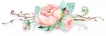 【火一动态】叩问生命   绽放芳华 ----第二十期教师论坛
