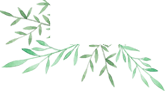 【火一动态】教师生活课程之彝族文化与习俗探究