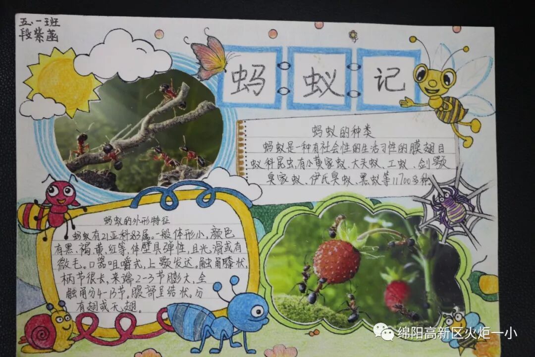 【火一开学季5】做实践达人,夺“快乐成长勋章”