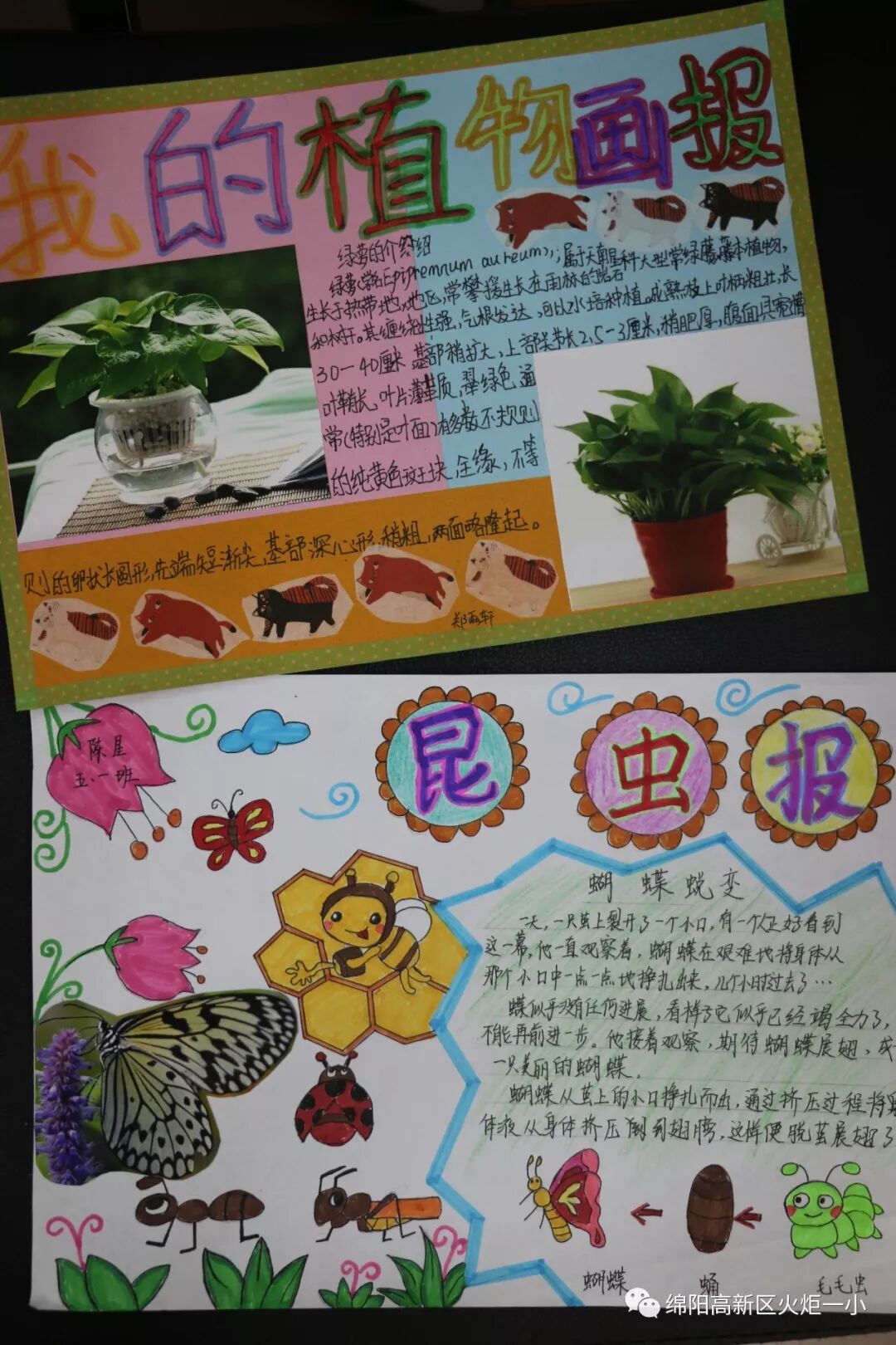 【火一开学季5】做实践达人,夺“快乐成长勋章”