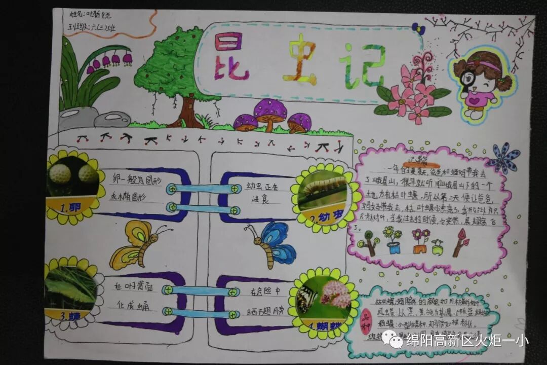 【火一开学季5】做实践达人,夺“快乐成长勋章”