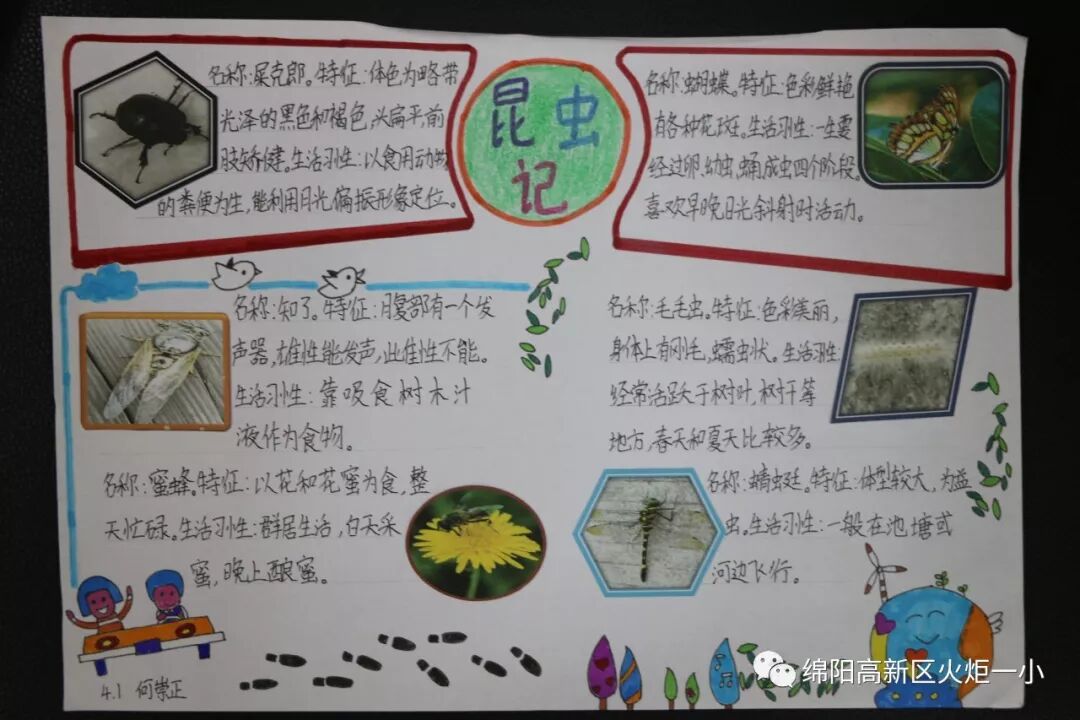 【火一开学季5】做实践达人,夺“快乐成长勋章”