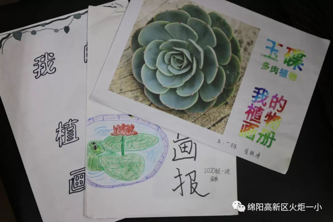 【火一开学季5】做实践达人,夺“快乐成长勋章”