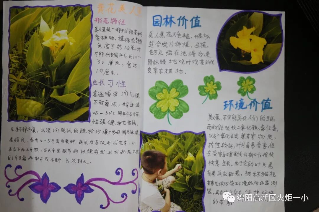 【火一开学季5】做实践达人,夺“快乐成长勋章”