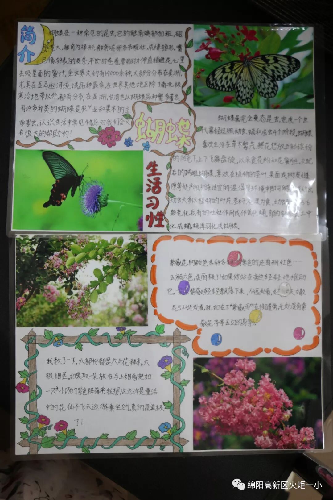 【火一开学季5】做实践达人,夺“快乐成长勋章”