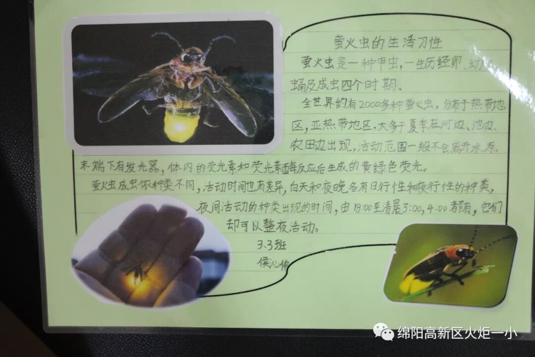 【火一开学季5】做实践达人,夺“快乐成长勋章”