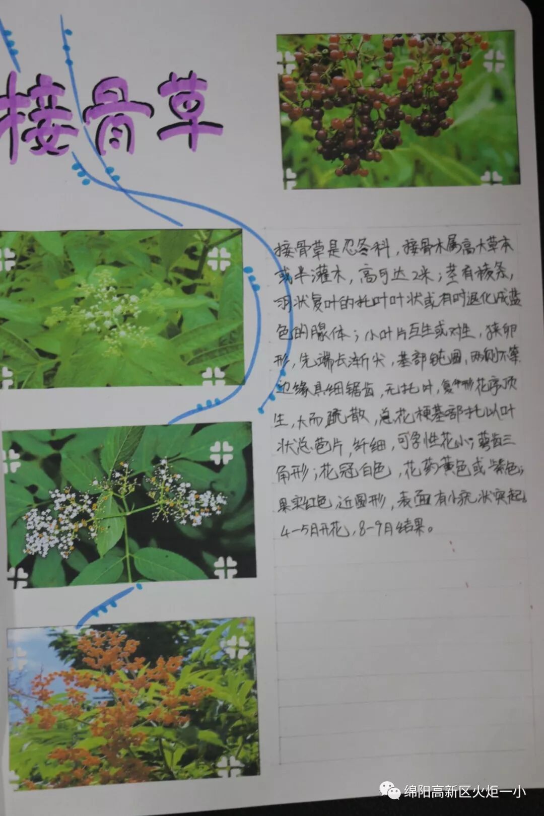 【火一开学季5】做实践达人,夺“快乐成长勋章”