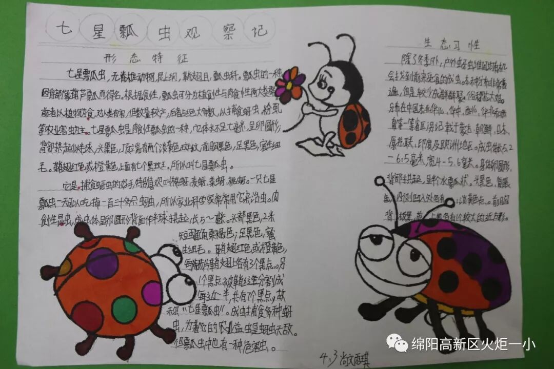 【火一开学季5】做实践达人,夺“快乐成长勋章”
