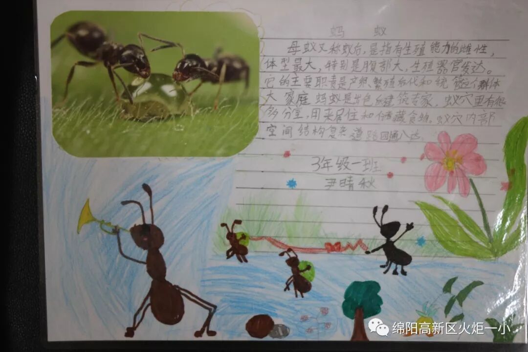 【火一开学季5】做实践达人,夺“快乐成长勋章”