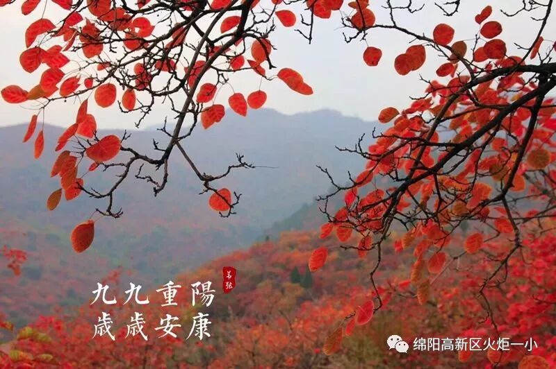 【火一动态】最美夕阳红 ——火炬一小2018年重阳节联谊活动