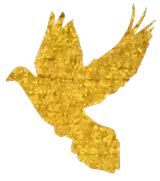 【火一动态】祖国妈妈,我爱您!——火炬一小学生国庆实践活动