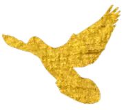 【火一动态】祖国妈妈,我爱您!——火炬一小学生国庆实践活动