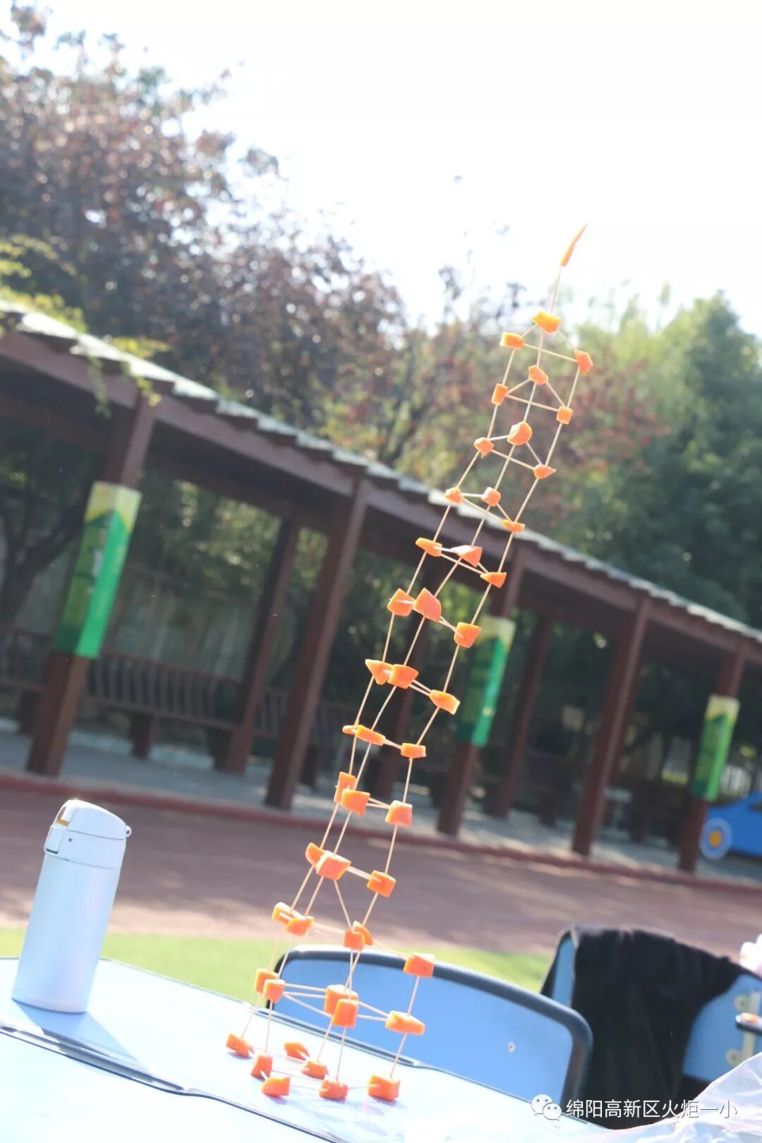 【火一竞赛节数科周】三——六年级数科竞赛